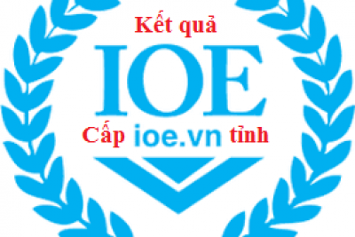 Kết quả vinh danh cấp tỉnh, Kỳ thi IOE năm học 2023 – 2024